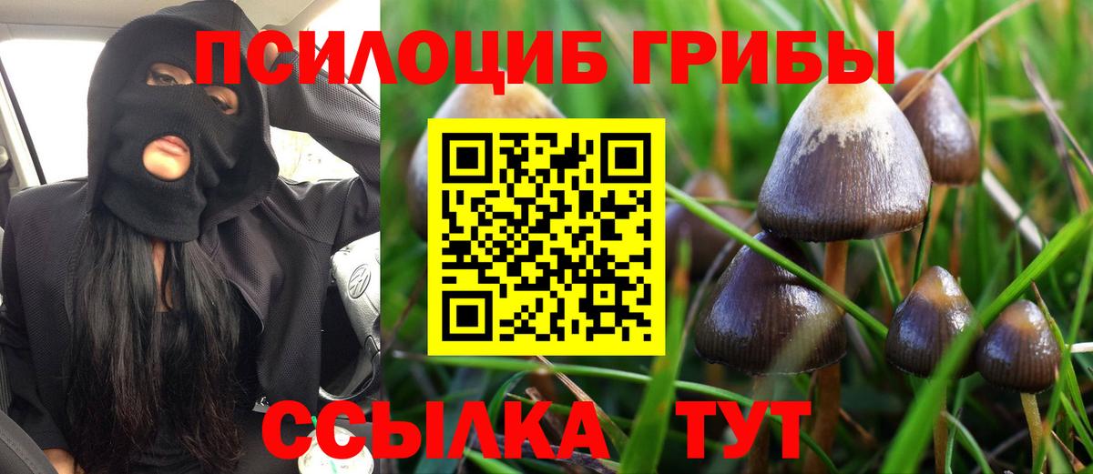Павлово  Галлюциногенные грибы Psilocybe  закладка  Вход с VPN 