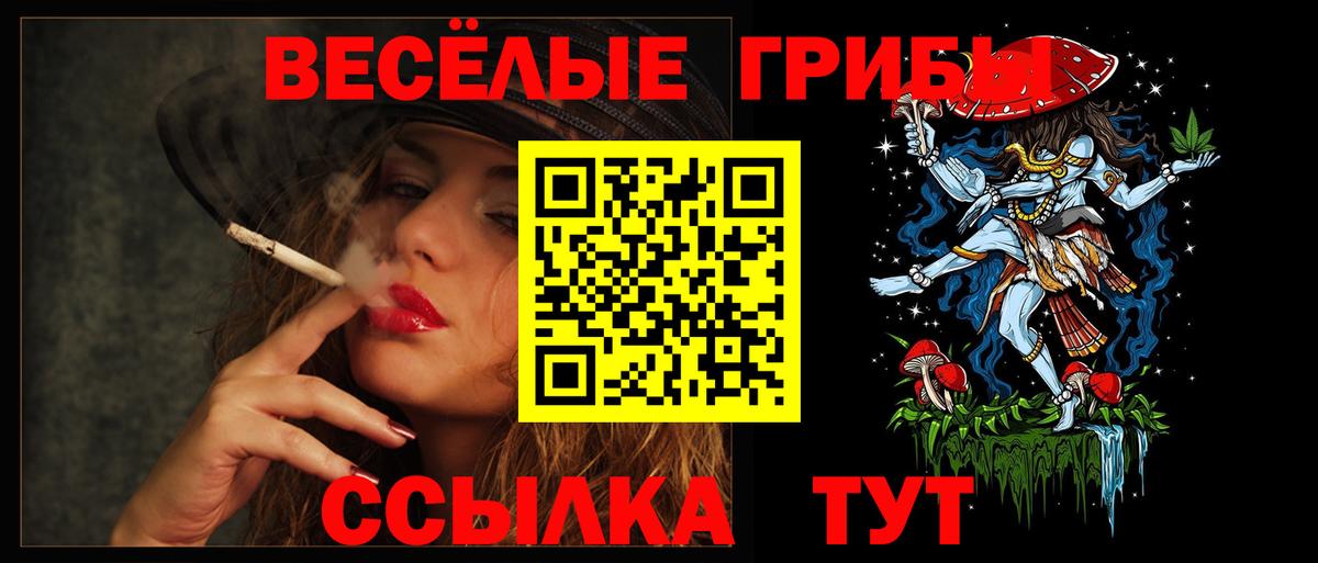 Галлюциногенные грибы Psilocybe Павлово